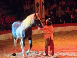 Circus YAKARI am 28.09.2024